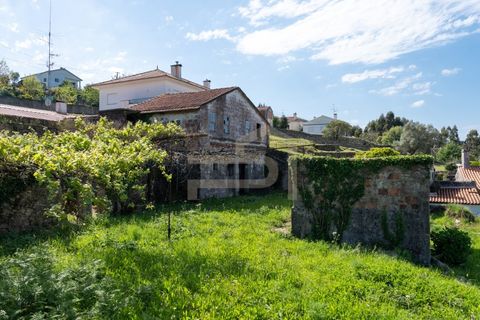 Farm i Caminha, Viana do Castelo, Caminha - € 475.000 | Ref: MAS_195 - foto 15