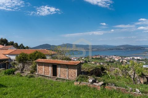 Farm i Caminha, Viana do Castelo, Caminha - € 475.000 | Ref: MAS_195 - foto 16