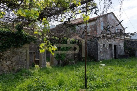 Farm i Caminha, Viana do Castelo, Caminha - € 475.000 | Ref: MAS_195 - foto 17