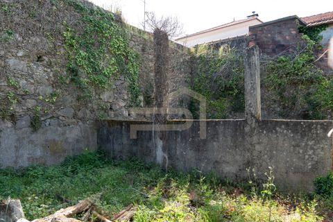 Farm i Caminha, Viana do Castelo, Caminha - € 475.000 | Ref: MAS_195 - foto 18