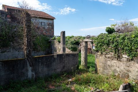 Farm i Caminha, Viana do Castelo, Caminha - € 475.000 | Ref: MAS_195 - foto 19