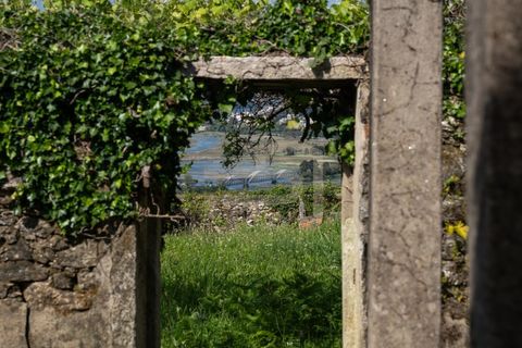 Farm i Caminha, Viana do Castelo, Caminha - € 475.000 | Ref: MAS_195 - foto 20