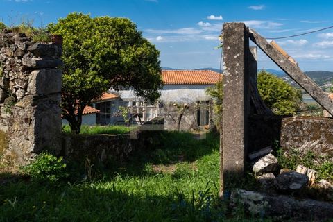 Farm i Caminha, Viana do Castelo, Caminha - € 475.000 | Ref: MAS_195 - foto 21