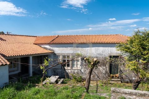 Farm i Caminha, Viana do Castelo, Caminha - € 475.000 | Ref: MAS_195 - foto 24