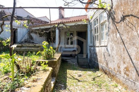 Farm i Caminha, Viana do Castelo, Caminha - € 475.000 | Ref: MAS_195 - foto 25
