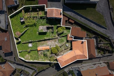 Farm i Caminha, Viana do Castelo, Caminha - € 475.000 | Ref: MAS_195 - foto 26