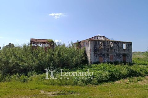 Villa i Massarosa, Lucca, Massarosa - € 170.000 | Ref: M423 - foto 2