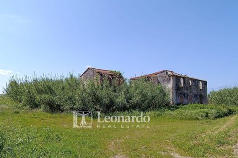 Villa i Massarosa, Lucca, Massarosa - € 170.000 | Ref: M423 - foto 4