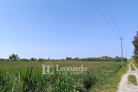 Villa i Massarosa, Lucca, Massarosa - € 170.000 | Ref: M423 - foto 5
