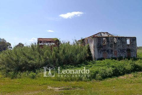 Villa i Massarosa, Lucca, Massarosa - € 170.000 | Ref: M423 - foto 7