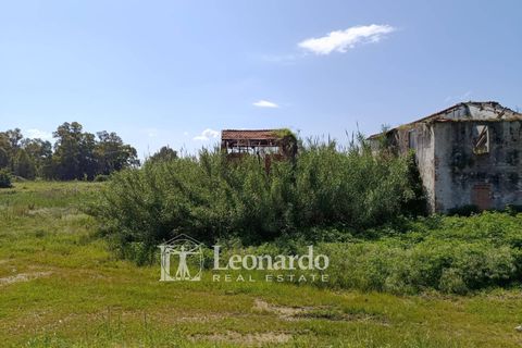 Villa i Massarosa, Lucca, Massarosa - € 170.000 | Ref: M423 - foto 9