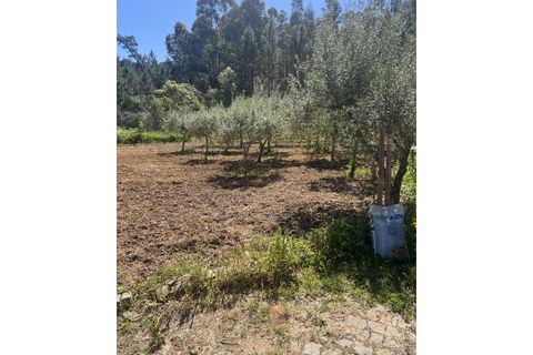 Duplex i Macao, Santarem, Macao - € 450.000 | Ref: MOR_771 - foto 10