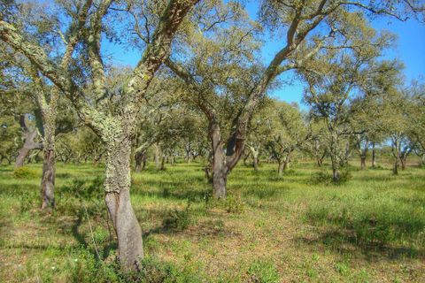 Terra a Alcochete, Setubal, Alcochete - € 719.000 | Ref: CB06-0182 - foto 35