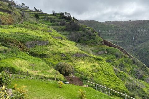 Helårsgrund i Calheta, Madeira, Calheta - € 375.000 | Ref: KWPT-011102 - foto 8