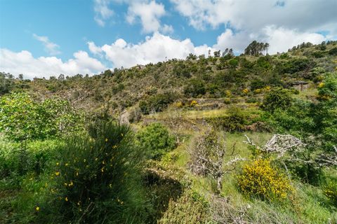 Helårsgrund i Covilha, Castelo Branco, Covilha - € 22.500 | Ref: 111250093 - foto 10