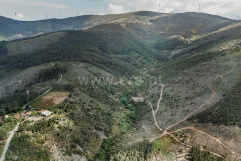 Helårsgrund i Covilha, Castelo Branco, Covilha - € 22.500 | Ref: 111250093 - foto 2