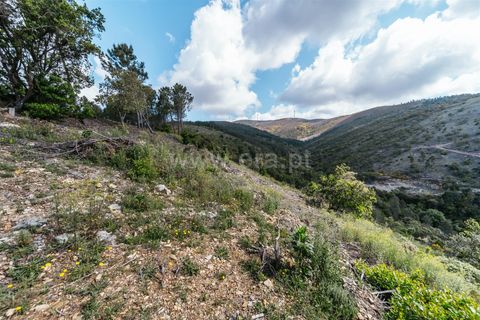Helårsgrund i Covilha, Castelo Branco, Covilha - € 22.500 | Ref: 111250093 - foto 5