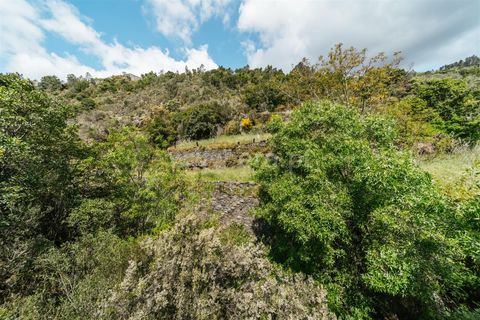 Helårsgrund i Covilha, Castelo Branco, Covilha - € 22.500 | Ref: 111250093 - foto 11