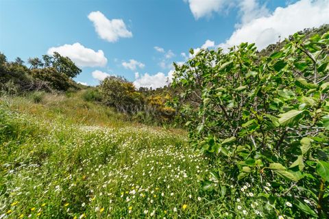 Helårsgrund i Covilha, Castelo Branco, Covilha - € 22.500 | Ref: 111250093 - foto 13