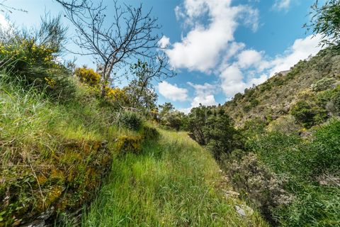 Helårsgrund i Covilha, Castelo Branco, Covilha - € 22.500 | Ref: 111250093 - foto 17