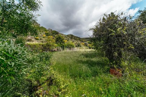 Helårsgrund i Covilha, Castelo Branco, Covilha - € 22.500 | Ref: 111250093 - foto 18