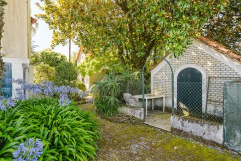 Farm i Barroselas, Viana do Castelo, Barroselas - € 785.000 | Ref: MA003 - foto 9