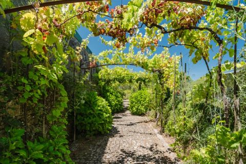 Farm i Barroselas, Viana do Castelo, Barroselas - € 785.000 | Ref: MA003 - foto 34