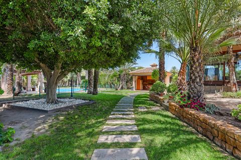 Villa i Elche, Alicante, Elche - € 1.165.000 | Ref: CSPC-69945 - foto 42