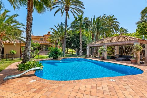 Villa i Elche, Alicante, Elche - € 1.165.000 | Ref: CSPC-69945 - foto 47