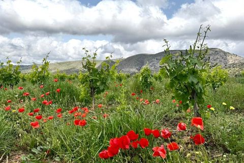 Finca i Teulada, Alicante, Teulada - € 499.000 | Ref: 34-68748 - foto 38