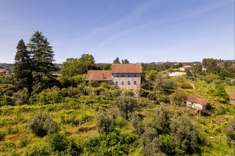 Farm hus i Amarante, Porto, Amarante - € 690.000 | Ref: TAPT01-1307_AK_AMV - foto 1