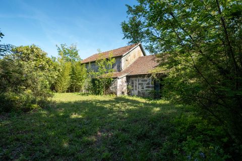 Farm hus i Amarante, Porto, Amarante - € 690.000 | Ref: TAPT01-1307_AK_AMV - foto 4