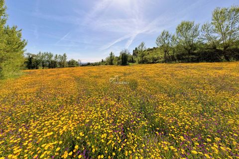 Farm hus i Amarante, Porto, Amarante - € 690.000 | Ref: TAPT01-1307_AK_AMV - foto 16