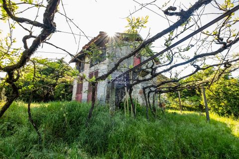 Farm hus i Amarante, Porto, Amarante - € 690.000 | Ref: TAPT01-1307_AK_AMV - foto 20
