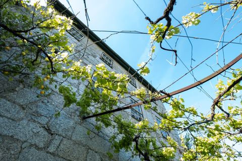 Farm hus i Amarante, Porto, Amarante - € 690.000 | Ref: TAPT01-1307_AK_AMV - foto 21
