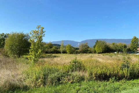 Terra a Talissieu, Ain, Talissieu - € 195.000 | Ref: 85928870 - foto 2