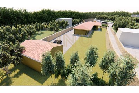 Terra a Cinfaes, Braga, Cinfaes - € 81.000 | Ref: UNU.I.0016.24667 - foto 6