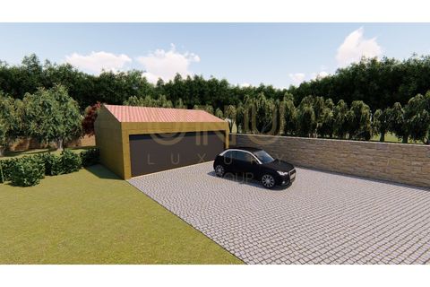 Terra a Cinfaes, Braga, Cinfaes - € 81.000 | Ref: UNU.I.0016.24667 - foto 7