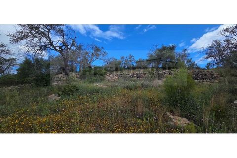 Landejendom i Paderne, Faro, Paderne - € 220.000 | Ref: V2-03 - foto 18