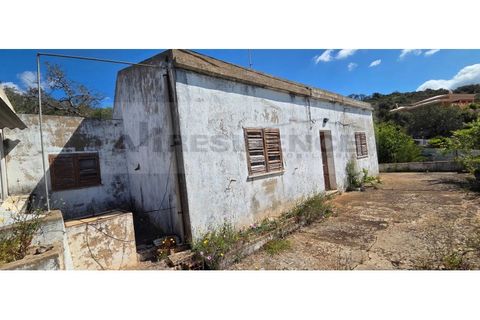 Landejendom i Paderne, Faro, Paderne - € 220.000 | Ref: V2-03 - foto 4