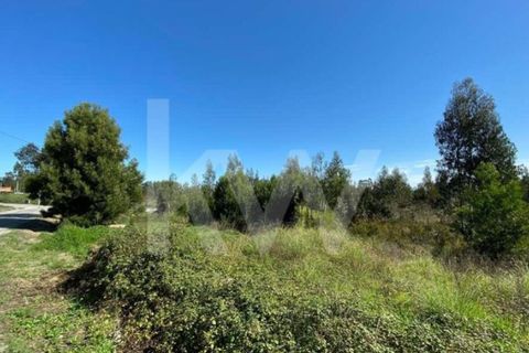 Helårsgrund i Aveiro, Aveiro, Aveiro - € 80.000 | Ref: 2198-1769 - foto 5