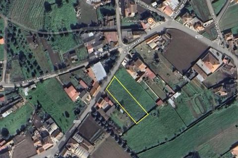 Helårsgrund i Anadia, Aveiro, Anadia - € 45.000 | Ref: KWPT-014267 - foto 2