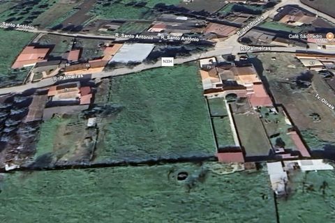 Helårsgrund i Anadia, Aveiro, Anadia - € 45.000 | Ref: KWPT-014267 - foto 5