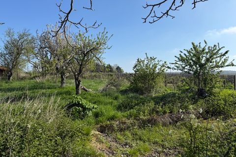 Villa a Saint-Thomas-De-Conac, Charente-Maritime, Saint-Thomas-De-Conac - € 75.500 | Ref: CC4048 - foto 22