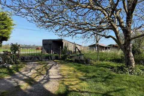 Villa a Saint-Thomas-De-Conac, Charente-Maritime, Saint-Thomas-De-Conac - € 75.500 | Ref: CC4048 - foto 30