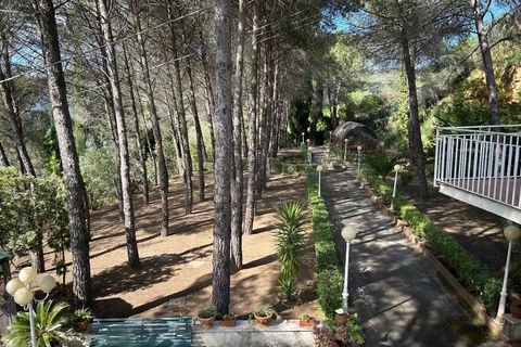 Villa i Caltanissetta, Caltanissetta, Caltanissetta - € 215.000 | Ref: 1620 - foto 4