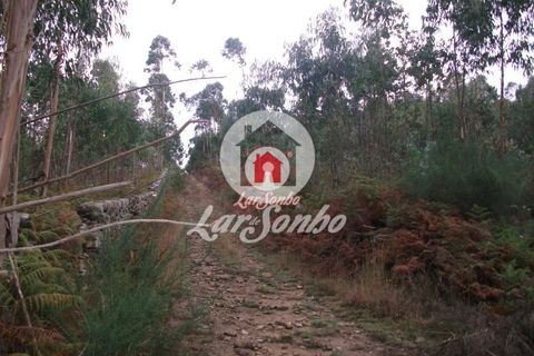 Helårsgrund i Vila do Conde, Porto, Vila do Conde - € 43.000 | Ref: 240-T-25688 - foto 2