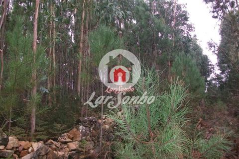 Helårsgrund i Vila do Conde, Porto, Vila do Conde - € 43.000 | Ref: 240-T-25688 - foto 3
