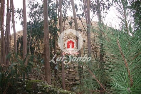 Helårsgrund i Vila do Conde, Porto, Vila do Conde - € 43.000 | Ref: 240-T-25688 - foto 4