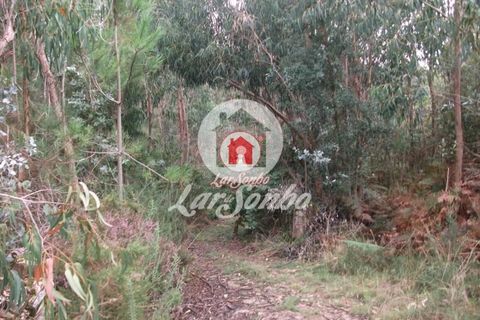 Helårsgrund i Vila do Conde, Porto, Vila do Conde - € 43.000 | Ref: 240-T-25688 - foto 6